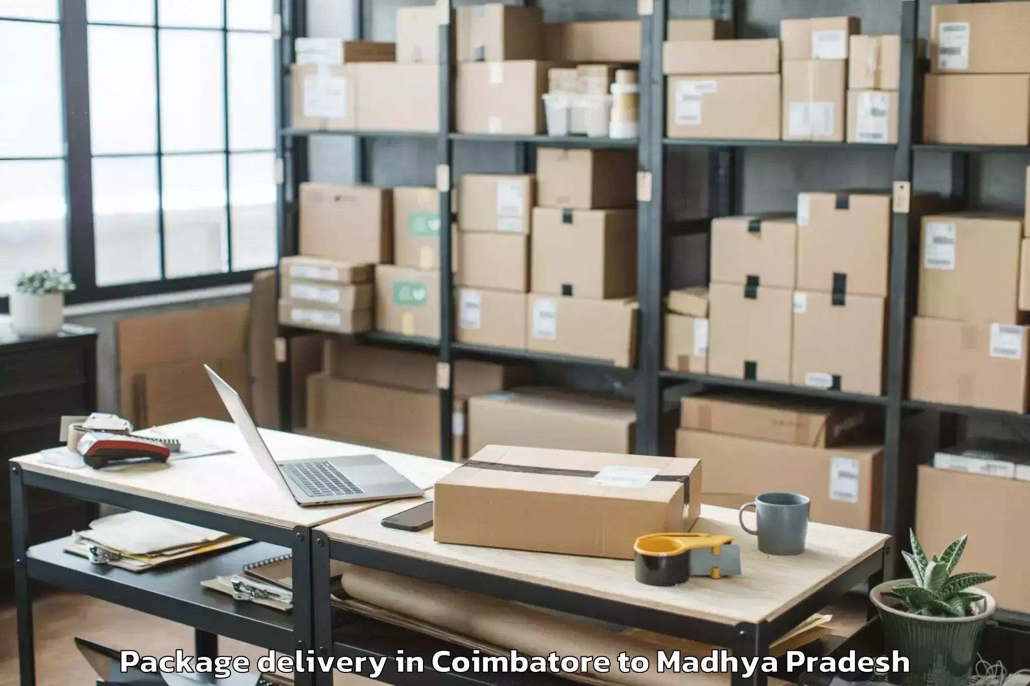 Trusted Coimbatore to Iit Indore Package Delivery